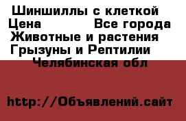 Шиншиллы с клеткой › Цена ­ 8 000 - Все города Животные и растения » Грызуны и Рептилии   . Челябинская обл.